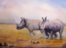 Charging Rhinos (watercolour) by Rosie Muncaster