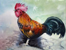 Cockerel (watercolour) by Rosie Muncaster
