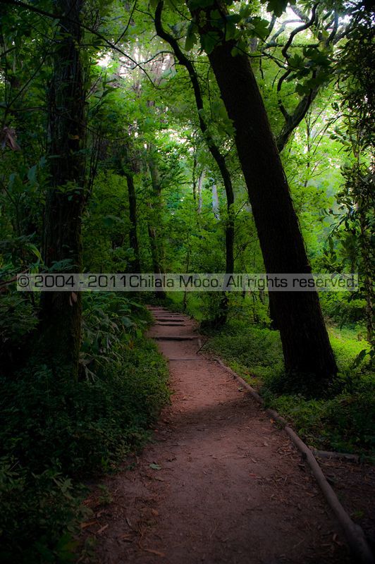 PARQUE NATURAL DE SINTRA-CASCAIS