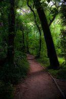 PARQUE NATURAL DE SINTRA-CASCAIS
