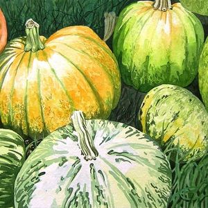Gourds