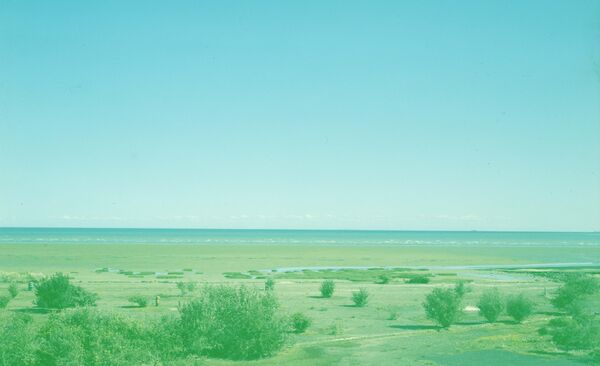 Pegwell Bay