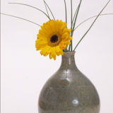 Bottle vases