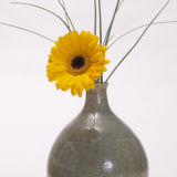 Vase and flower