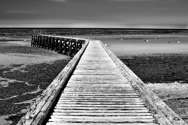 Grandcamp Maisy Pier, Low Tide