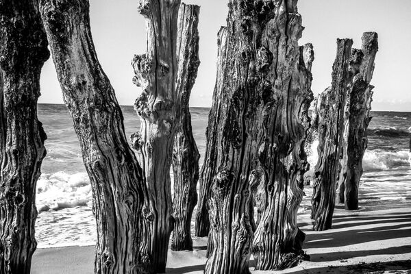 Saint Malo, Waves Breaker (reviewed version)