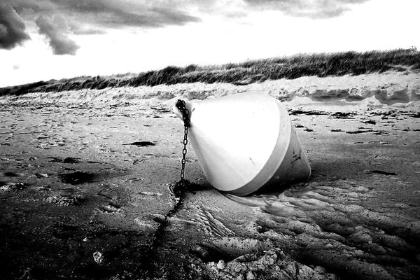 The Buoy