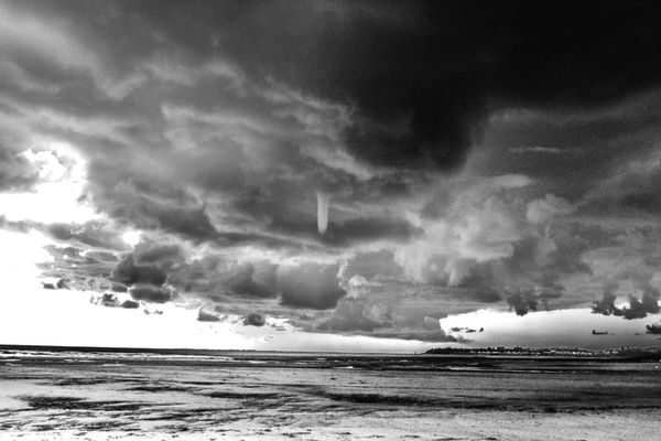 The Little Twister