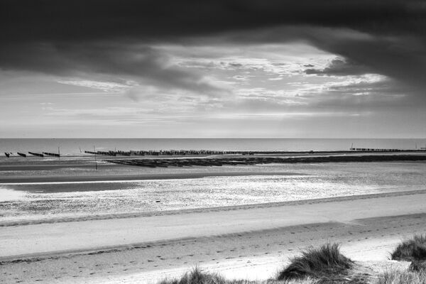 Utah Beach Oyster Bay