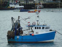 BM33 Resolute Registerd Brixham At Port Of Brixham Devo Gt Britain 2022 Order Ref - BM-72 opt