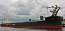 Ref-BC(NG)-137 Sakizaya Integrity Ultra Large Bulk Carrier Port Of Rotterdam Holland 2018 (C) All Copyrights Reserved RLT-Aviation And Maritime Images 2021 opt