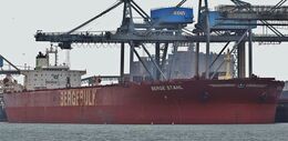 Ref BC(NG)141 Berge Stahl Ultra Large Bulk Carrier Port Of Rotterdam Holland 2015 (C)RLT- Aviation And Maritime Images 2018