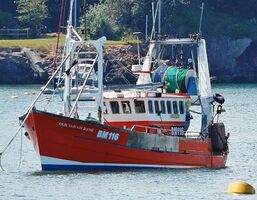 Ref-TBM65 Our Sarah Jayne BM116 Port Of Brixham Devon Gt Britain 2020 (C)RLT Aviation And Maritime Images - 2020 opt