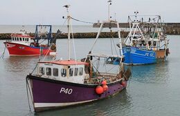 Ref-TFE3 Trawlers In Folkstone Harbour Kent Gt Britain 2014 (C)RLT Aviation And Maritime Images 2020 opt