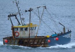 Ref-TPH-1 Sidney Rose PH 79 Trawler River Tamar Plymouth Devon Gt Britain 2020 (C)RLT Aviation And Maritime Images 2020