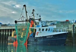 Ref TBM25 BM127 Harvester Port Of Brixham Devon Gt Britain Port Of Registry Brixham 2012 (C)RLT Aviation And Maritime Images 2018 opt