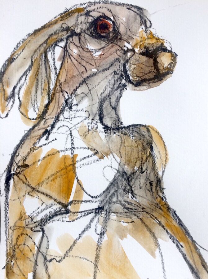 Over the shoulder hare.(Clearance item. Can be posted)