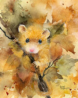 Autumn Dormouse