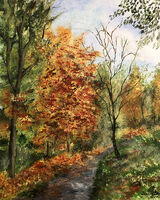 Autumn Trees in Harewood