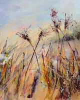 Clare Dean