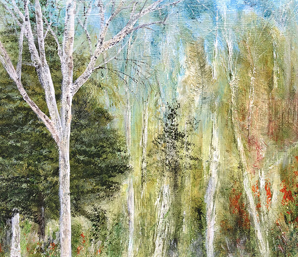 Birch Woods