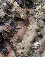 Boggle Hole, Sunrise