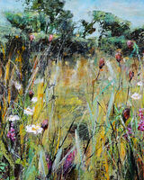 Down in the Meadow
