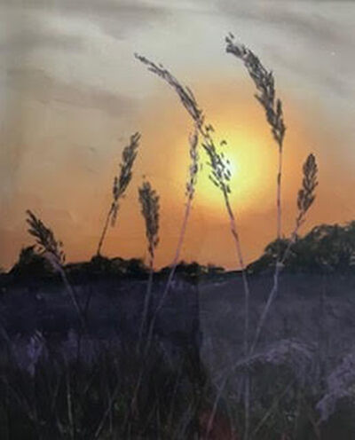 Evening Glow