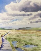 Ruth Dorrington