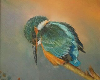 Kingfisher is Watching