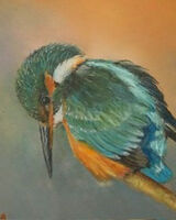 Kingfisher is Watching