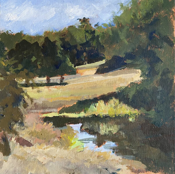 Little Ribston meadow