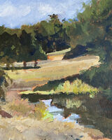 Little Ribston meadow