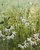 Meadows