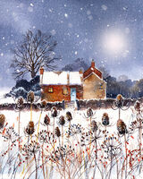 Moonlit Snow