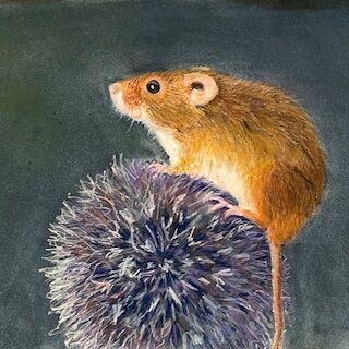 Mouse is Balancing Act