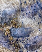 Mussels
