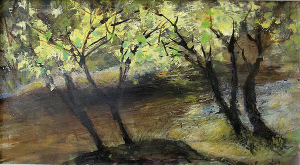 River Nidd Knaresborough