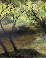 River Nidd Knaresborough