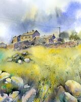 Rachel McNaughton