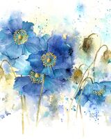 Rachel McNaughton
