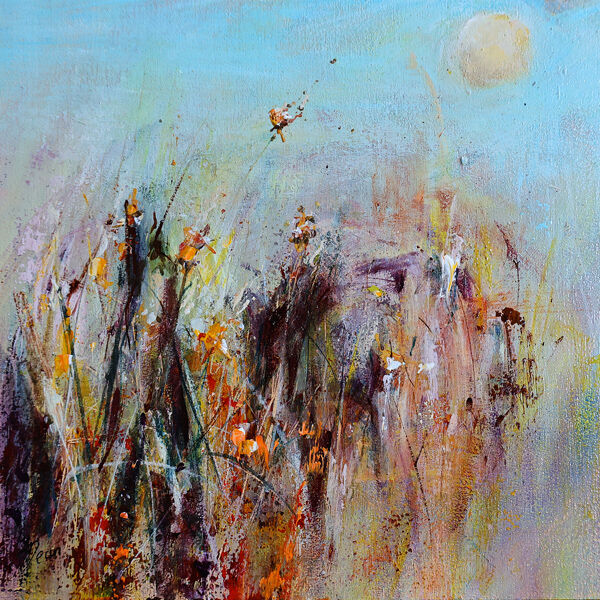 Sunrise over the Corn