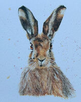 Watercolour hare