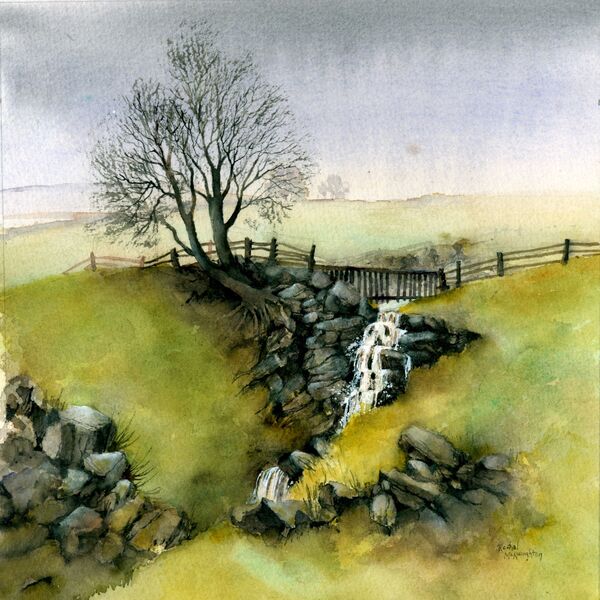 Waterfall,Swaledale RMN 255110