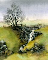 Waterfall,Swaledale RMN 255110