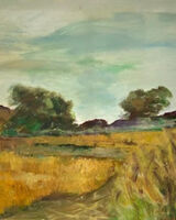 Wheat Field - Harewood