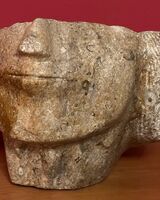 Damaged, Swaledale Fossil