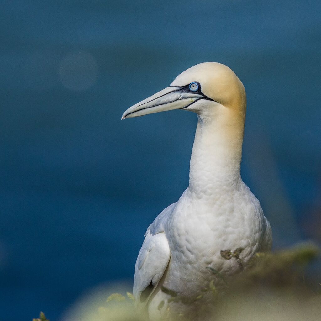 8L0A0158