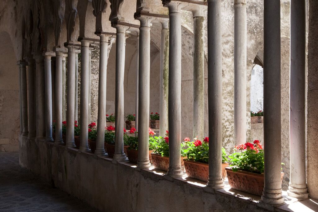 Geraniums 1 Ravello