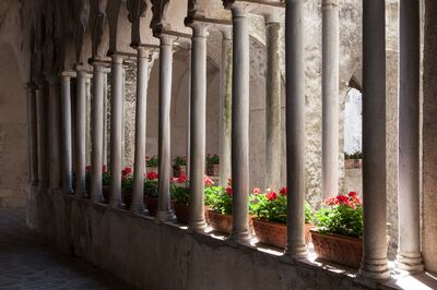 Geraniums 1 Ravello